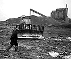 arbetsliv.jpg