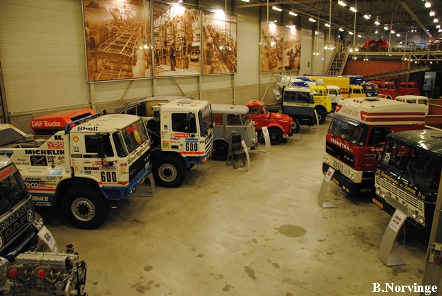 DAF-NL_4_Norvinge.JPG