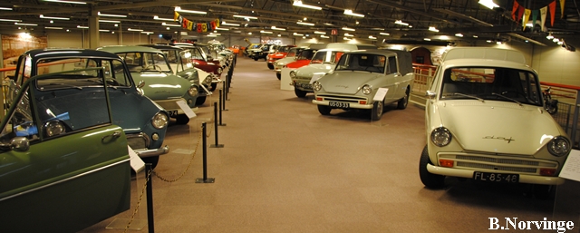 DAF-NL_5_Norvinge.JPG