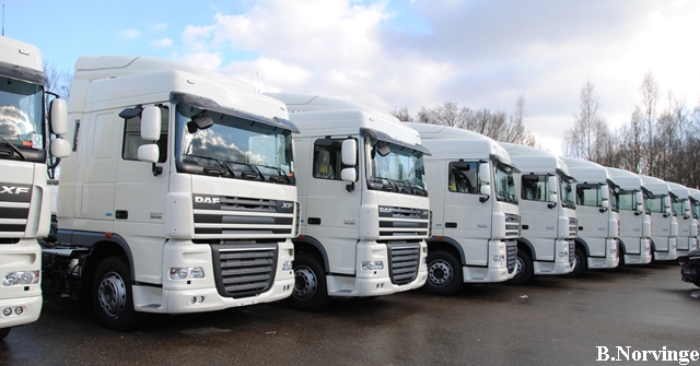 DAF-NL_7_Norvinge.JPG