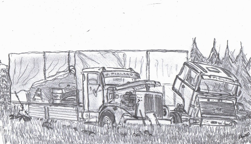 img394.jpg
