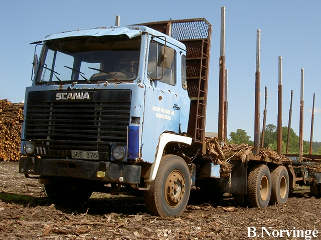 LBT111_Norvinge.JPG
