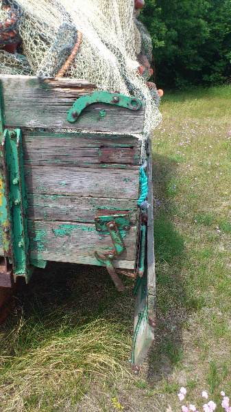 DSC_0375 - Vagn Stenshuvud.JPG