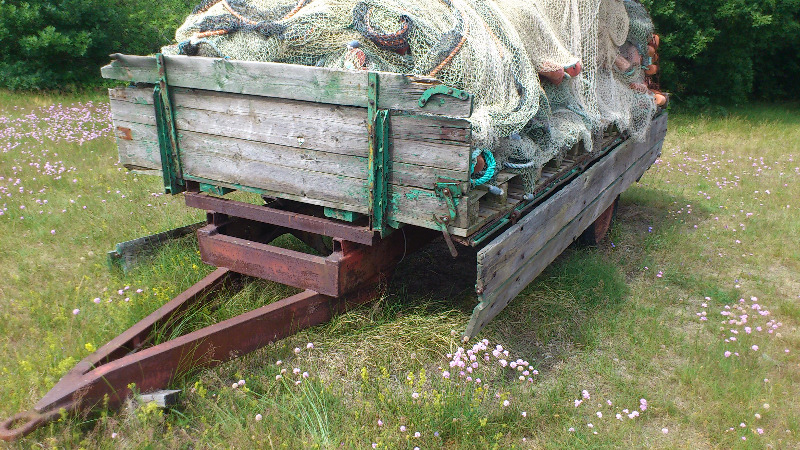 DSC_0376 - Vagn Stenshuvud.JPG