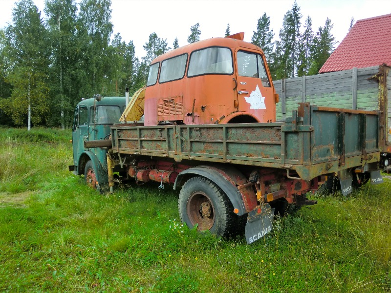 CIMG1225.JPG