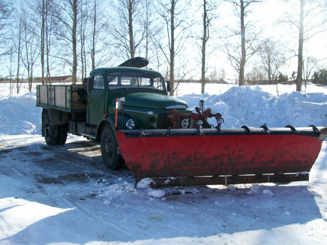 Bilblad (640x480).jpg