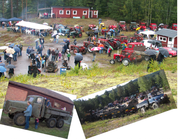 Skarsås 2010.jpg