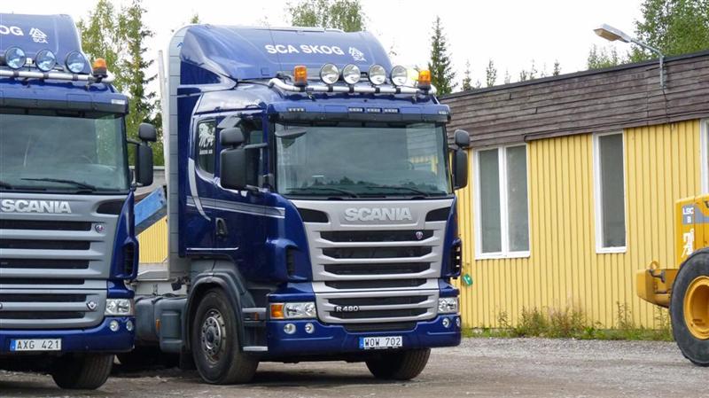 P1090869 (Large) (Medium).JPG