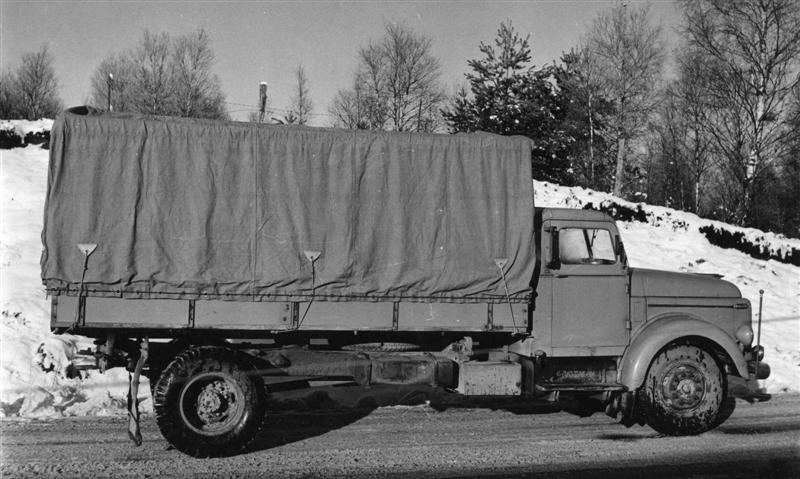 TIR_L004 (Medium).jpg