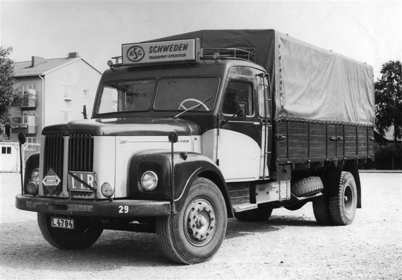 TIR_L008 (Medium).jpg