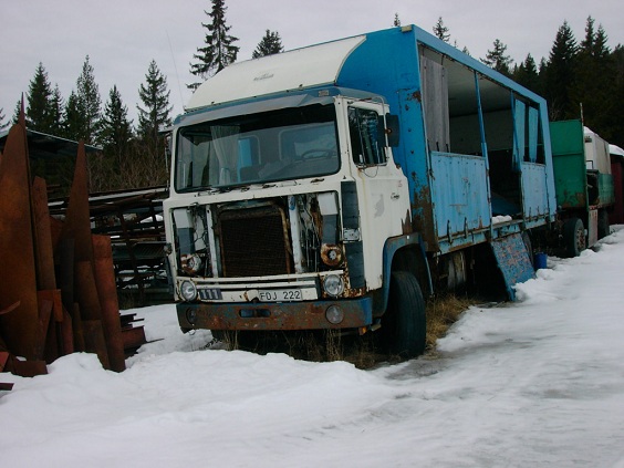 20050326 019.jpg