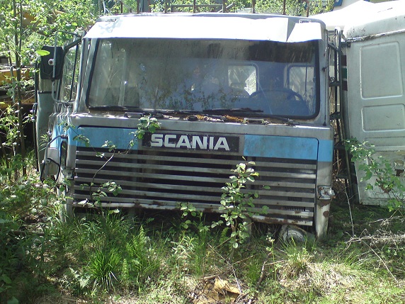 DSC02303.JPG