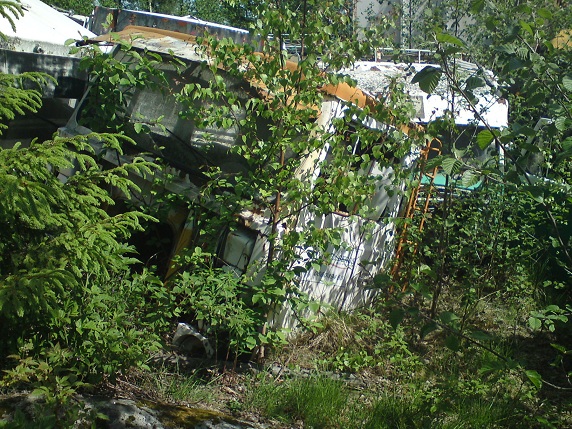 DSC02307.JPG