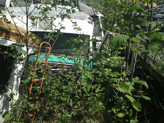 DSC02308.JPG