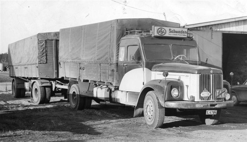 TIR_L010 (Medium).jpg