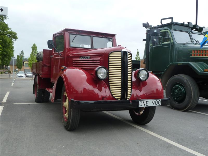 P1010349 (Medium).JPG