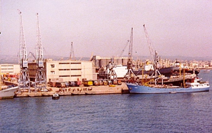 2265580.jpg