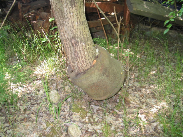 HOLM_0002_1.jpg