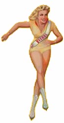 pin_up2_veedol.jpg